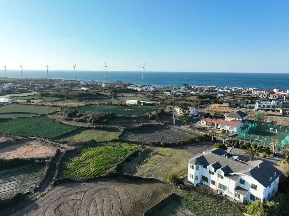 Jeju Ddoolle Pension Guest house